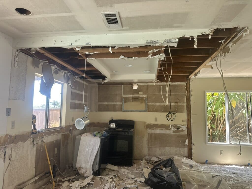 Kitchen demolition in progress