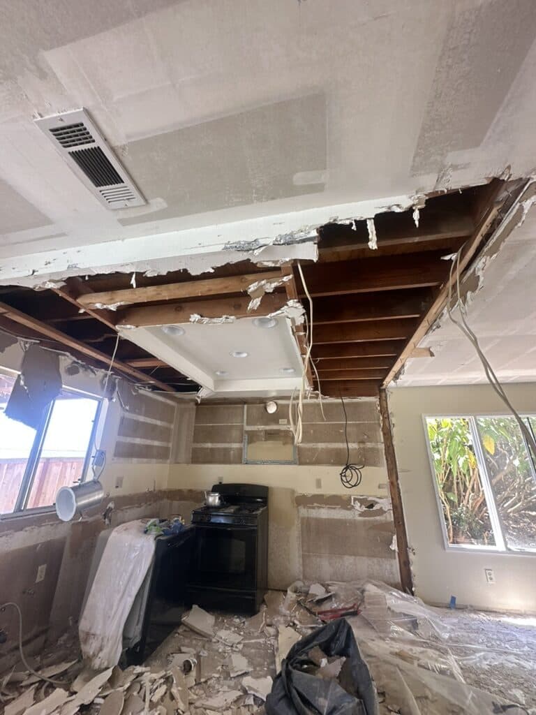 Dry Rot & Termite Damage Repair